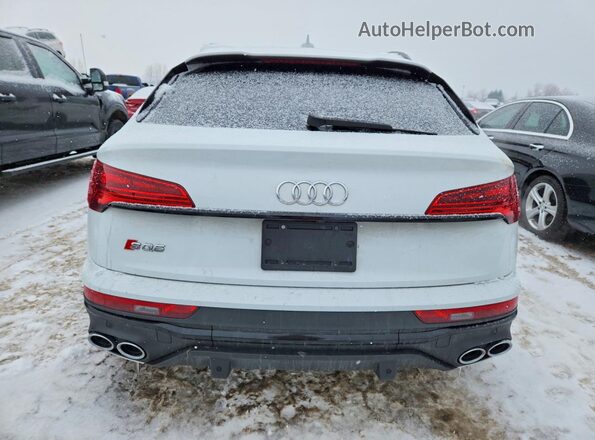 WA114AFYXM2088104 2021 AUDI SQ5 Белый Вид сзади