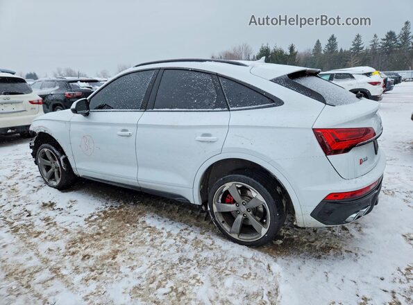 WA114AFYXM2088104 2021 AUDI SQ5 Белый Задняя левая четверть