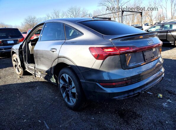 WA11AAGE3NB012769 2022 AUDI E-TRON Серый Задняя левая четверть