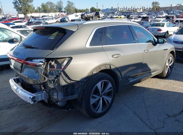 WA14AAGE0RB015891 2024 AUDI Q8 E-TRON Серый Задняя правая четверть