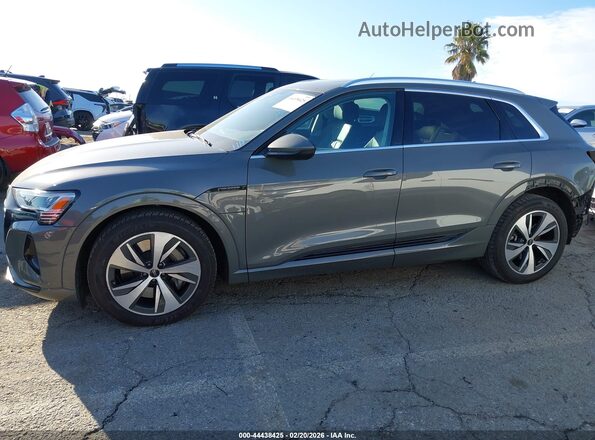 WA14AAGE0RB015891 2024 AUDI Q8 E-TRON Серый 