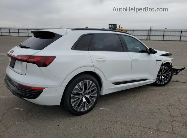 WA15AAGE2RB041770 2024 AUDI Q8 Белый Задняя правая четверть