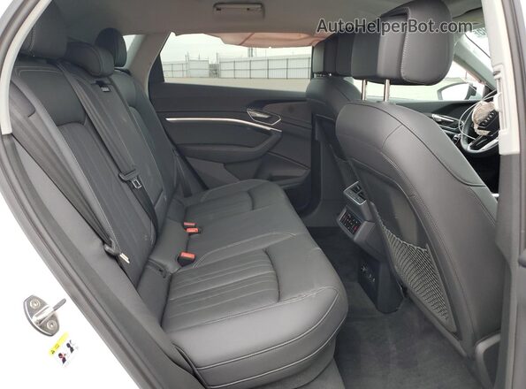 WA15AAGE2RB041770 2024 AUDI Q8 Белый Вид задней части салона