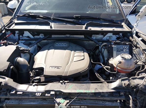 WA1ANAFYXK2116560 2019 AUDI Q5 Белый Вид сзади