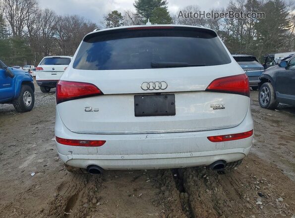 WA1C2AFP1HA066347 2017 AUDI Q5 White Widok z tyłu