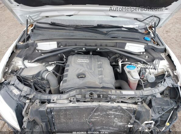 WA1C2AFPXHA063656 2017 AUDI Q5 White Вид ззаду
