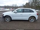 2017 Audi Q5 2.0t Premium White vin: WA1C2AFPXHA063656