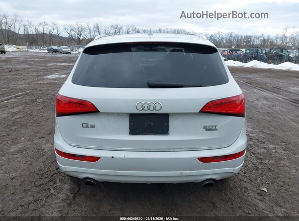 WA1C2AFPXHA063656 2017 AUDI Q5 White 