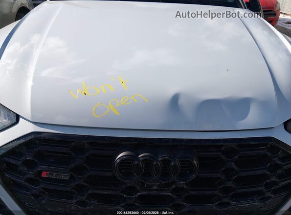 WA1C4AFY0R2038621 2024 AUDI SQ5 Белый Вид сзади