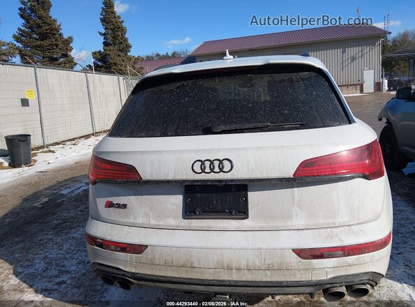 WA1C4AFY0R2038621 2024 AUDI SQ5 Белый 