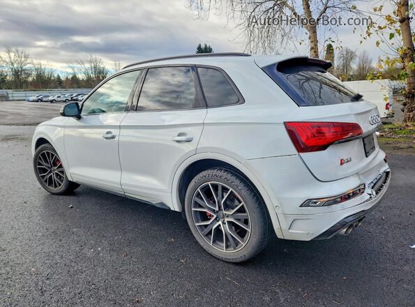 WA1C4AFY2N2039036 2022 AUDI SQ5 Белый Задняя левая четверть