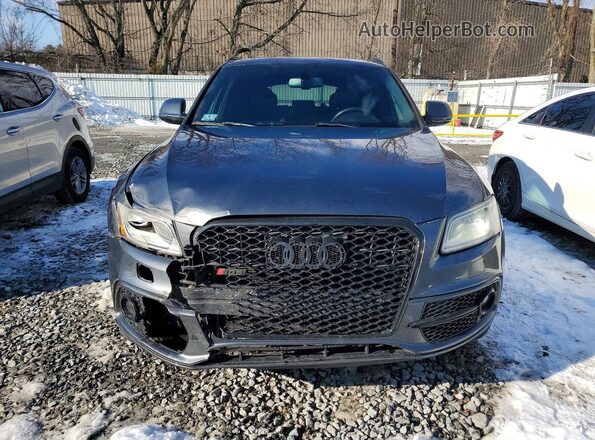 WA1CCAFP9GA012581 2016 AUDI SQ5 Gray Widok z przodu