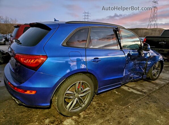 WA1CCAFP9GA095493 2016 AUDI SQ5 Blue Rear right