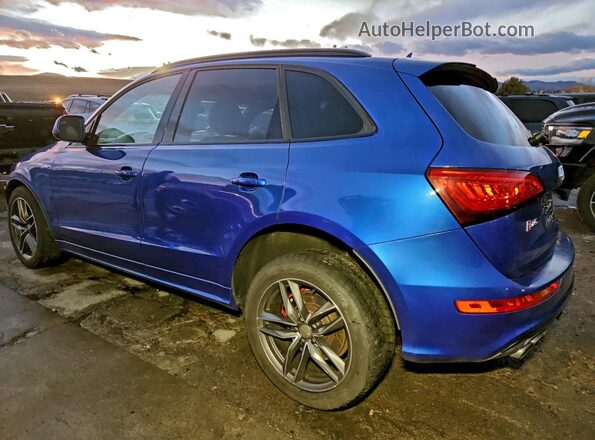 WA1CCAFP9GA095493 2016 AUDI SQ5 Blue Rear left