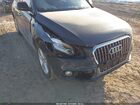 2017 Audi Q5 3.0t Premium Plus Black vin: WA1D7AFP5HA013088 2017 Audi Q5 3.0t Premium Plus Black vin: WA1D7AFP5HA013088