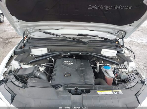 WA1L2AFP3GA091555 2016 AUDI Q5 White Вид ззаду