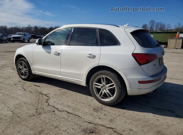 WA1L2AFP9GA006606 2016 AUDI Q5 White უკანა მარჯვენა