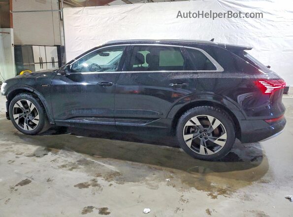 WA1LAAGE7PB003553 2023 AUDI E-TRON Black Հետևի ձախ
