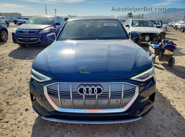 WA1LABGE5KB020950 2019 AUDI E-TRON Blue Vista frontal