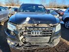 2016 Audi Sq5 Prestige Black vin: WA1VCAFP3GA034228
