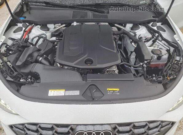 WAU2BCFU1SN040962 2025 AUDI OTHER Белый Вид задней части салона