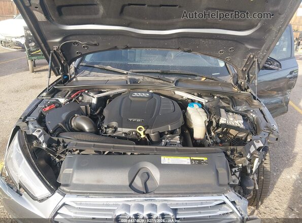 WAUANAF46HN066621 2017 AUDI OTHER Серый Вид сзади