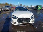 2025 Audi S5 Sportback Premium Tfsi Quattro Tiptronic White vin: WAUB4CF57SA009970