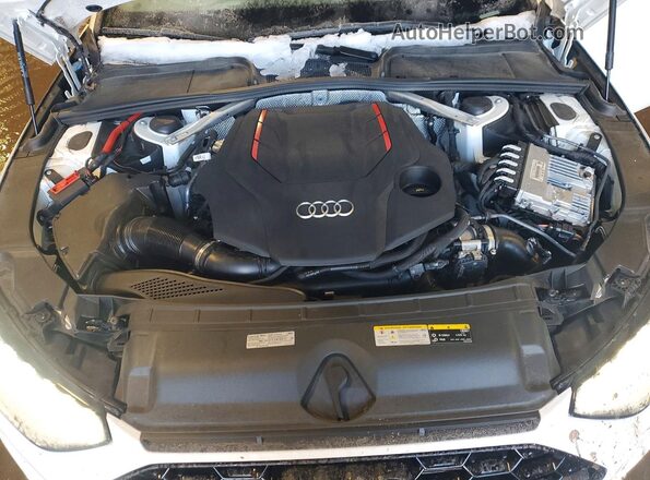 WAUC4AF43PA006295 2023 AUDI S4 Белый Вид задней части салона
