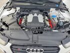 2016 Audi S5 Premium Plus Белый vin: WAUC4AFR3GA003800