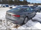 2019 Audi S5 3.0t Premium Серый vin: WAUC4CF50KA096891