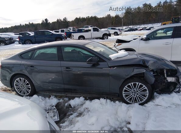 WAUC4CF50KA096891 2019 AUDI S5 Серый Вид задней части салона