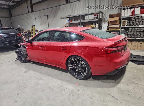WAUC4CF50SA009815 2025 AUDI S5 Красный Задняя левая четверть