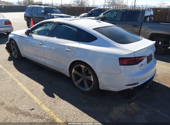 WAUC4CF56KA089038 2019 AUDI S5 White Հետևի ձախ