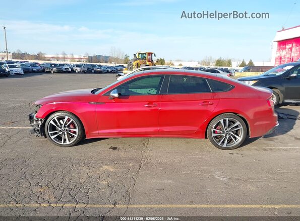 WAUC4CF57LA019954 2020 AUDI S5 Белый 