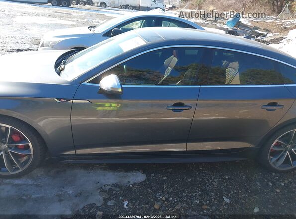 WAUC4CF58KA003163 2019 AUDI S5 Серый Панорамный вид салона 360°