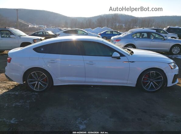 WAUDACF50RA085235 2024 AUDI OTHER White Widok wnętrza z tyłu