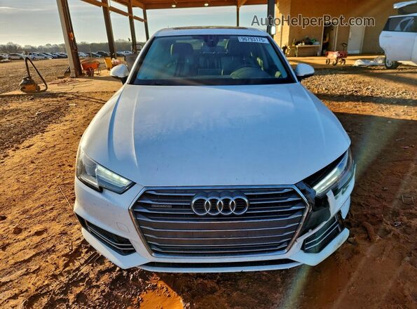 WAUDNAF4XHN045249 2017 AUDI OTHER Белый Вид спереди