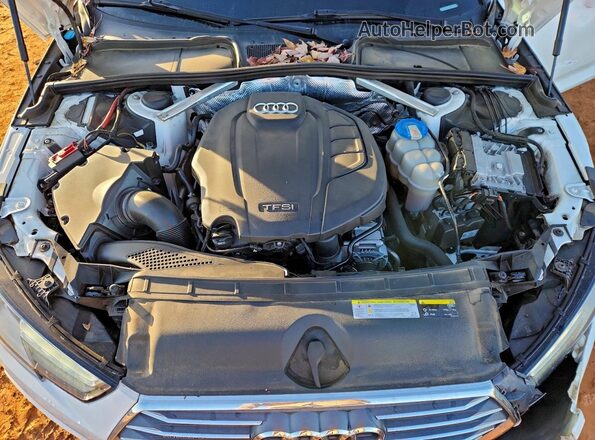 WAUDNAF4XHN045249 2017 AUDI OTHER Белый Вид задней части салона
