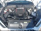2023 Audi S5 Cabriolet Premium Plus Белый vin: WAUW4GF54PN005884