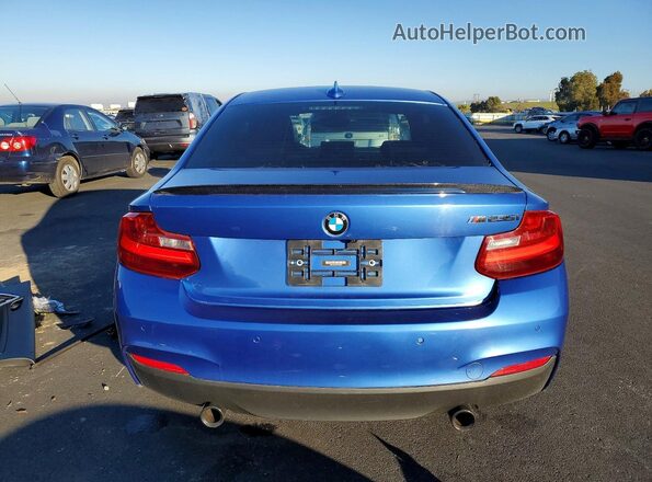 WBA1J7C55GV359565 2016 BMW M2 Синий Вид сзади