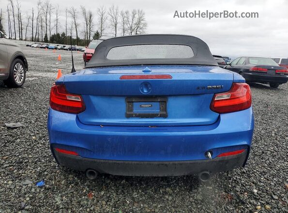 WBA1M1C53GV394559 2016 BMW M2 Синий Вид сзади