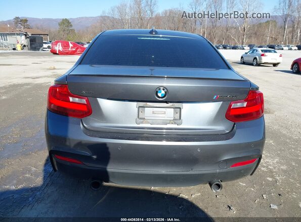 WBA2G3C36H7A25421 2017 BMW M2 Серый 