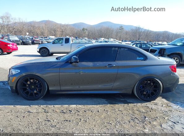 WBA2G3C36H7A25421 2017 BMW M2 Серый 