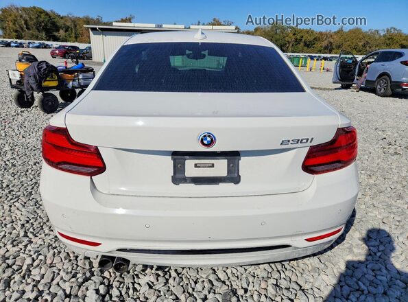 WBA2J1C03L7D90417 2020 BMW OTHER White Widok z tyłu