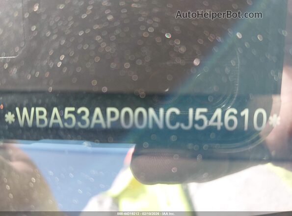 WBA53AP00NCJ54610 2022 BMW OTHER Синий 