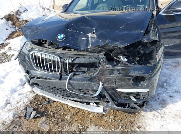 WBXHT3C35G5E51476 2016 BMW X1 Черный Вид спереди