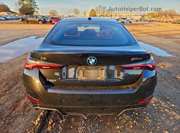 WBY33AW03RFS03149 2024 BMW I4 Black Widok z tyłu