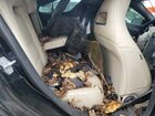 2016 Mercedes-benz Cla 250 Черный vin: WDDSJ4EBXGN339150 Damage: Right Front Seat, Stained, Permanent
