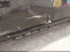 2016 Mercedes-benz S 550 4matic Черный vin: WDDUG8FB4GA242773