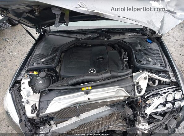 WDDWF8EB1LR551075 2020 MERCEDES-BENZ C-CLASS Silver უკანა ხედი